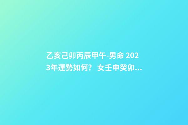 乙亥己卯丙辰甲午-男命 2023年運勢如何？ 女壬申癸卯丁亥辛丑，2023年運勢怎么樣，謝謝